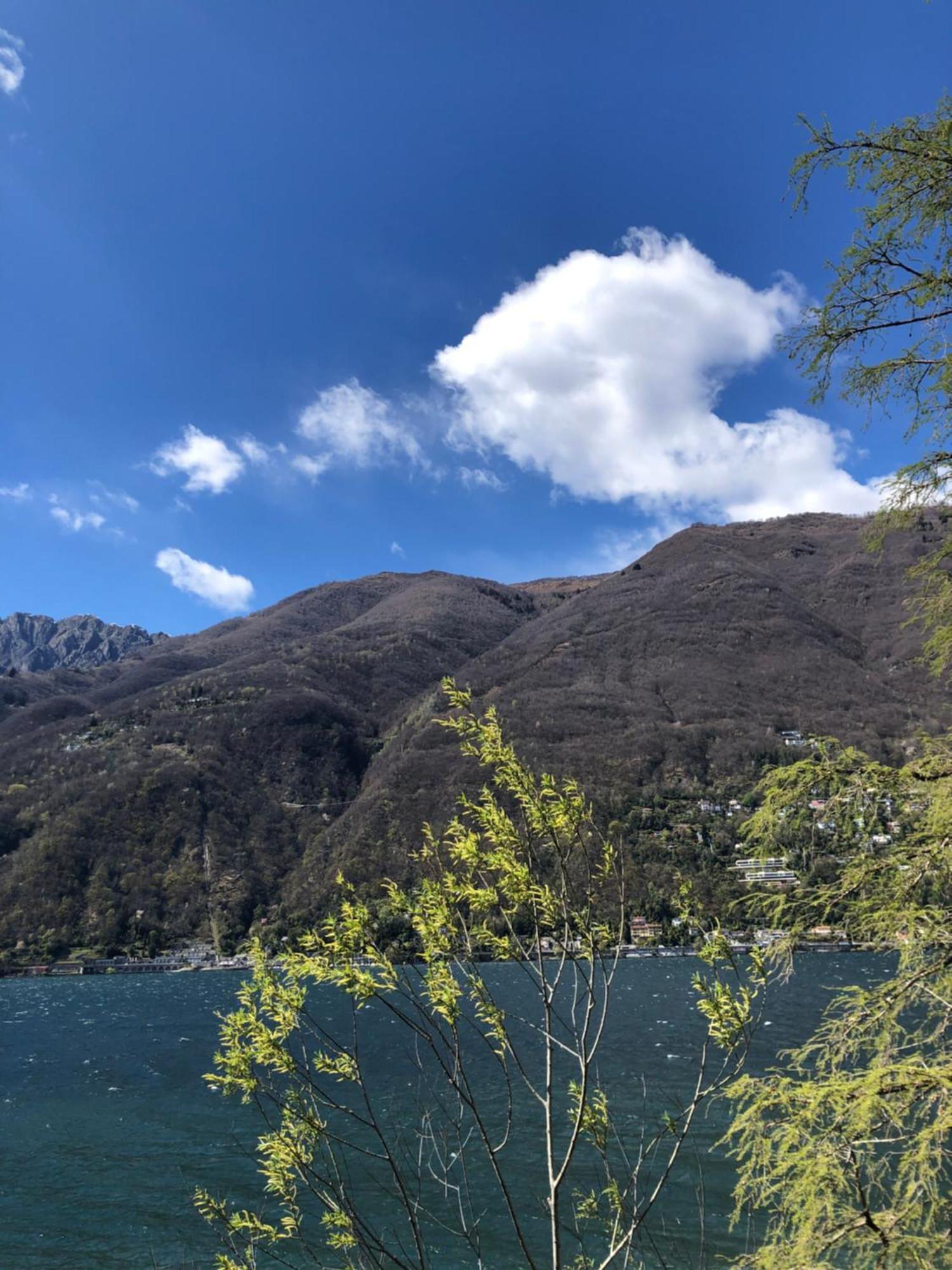Al Grottino Bed & Breakfast Gambarogno Bagian luar foto