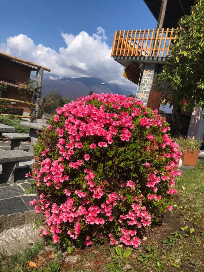 Al Grottino Bed & Breakfast Gambarogno Bagian luar foto