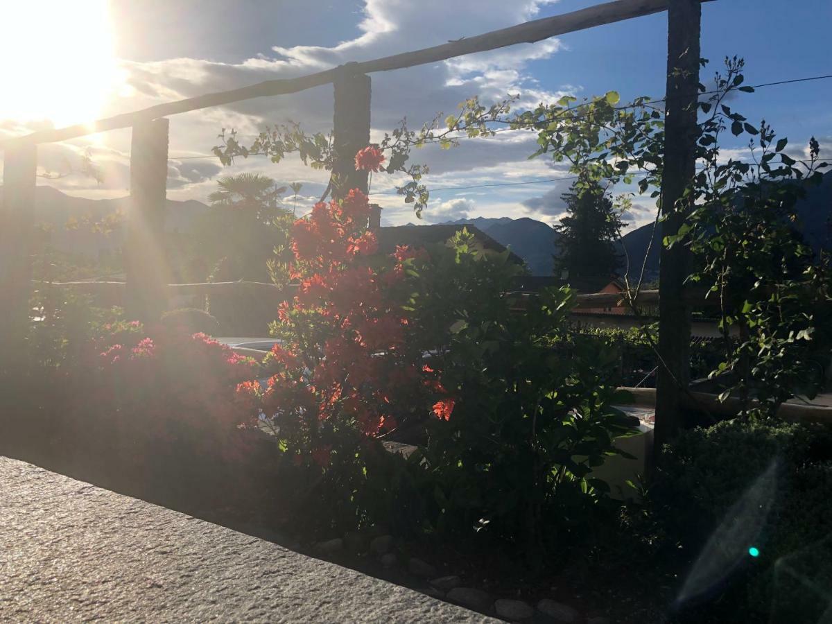 Al Grottino Bed & Breakfast Gambarogno Bagian luar foto